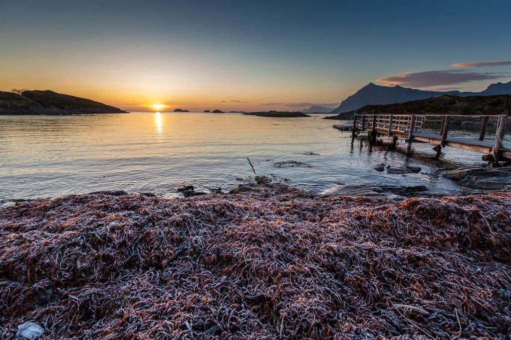 Lofoten - New Apartment, Close To Airport. 莱克内斯 外观 照片