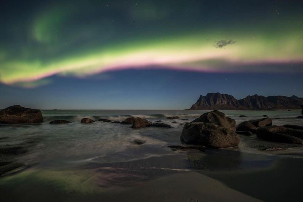 Lofoten - New Apartment, Close To Airport. 莱克内斯 外观 照片